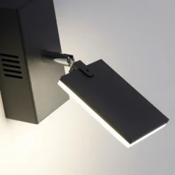 Luminaires Paul Neuhaus Applique murale Paul Neuhaus PURE-MIRA LED Noir, 2 lumières, Télécommandes* Appliques