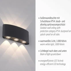 Luminaires Paul Neuhaus Applique murale Paul Neuhaus CARLO LED Anthracite, 6 lumières