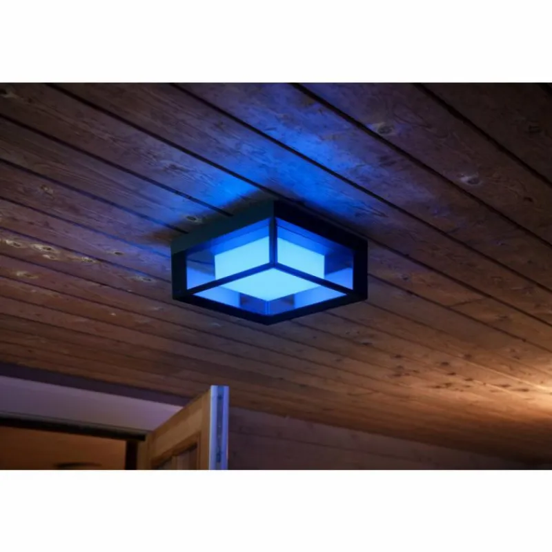 Luminaires Philips Applique murale Philips Hue Ambiance White & Color Econic LED Noir, 1 lumière, Changeur de couleurs