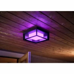Luminaires Philips Applique murale Philips Hue Ambiance White & Color Econic LED Noir, 1 lumière, Changeur de couleurs