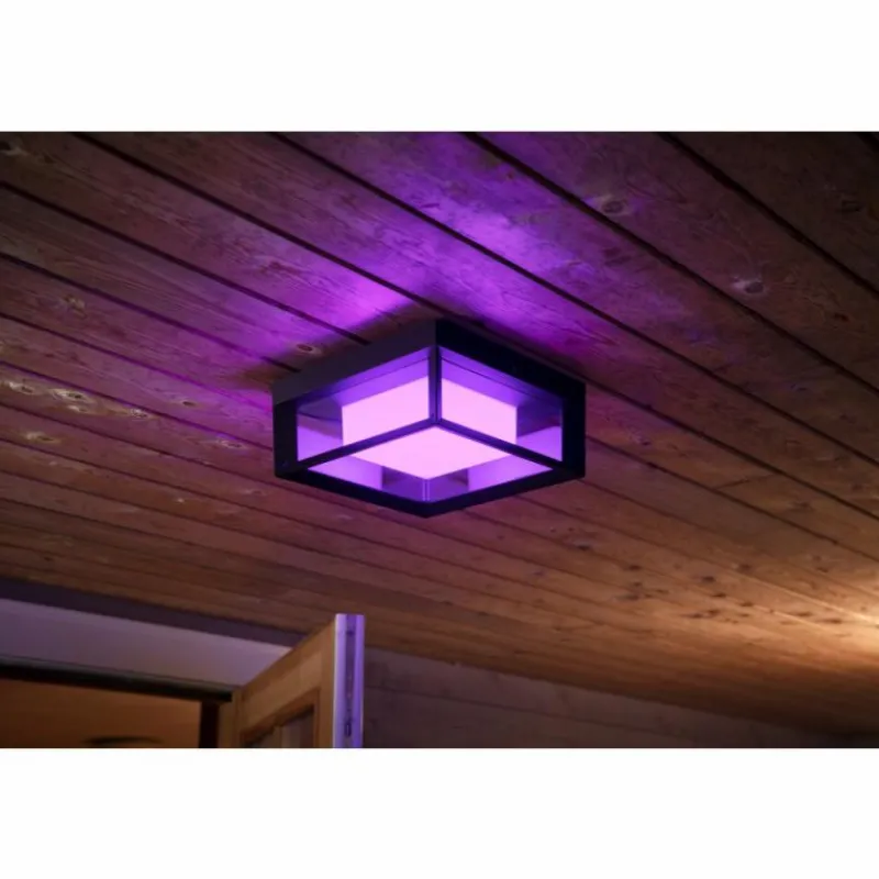 Luminaires Philips Applique murale Philips Hue Ambiance White & Color Econic LED Noir, 1 lumière, Changeur de couleurs