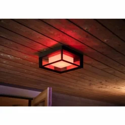 Luminaires Philips Applique murale Philips Hue Ambiance White & Color Econic LED Noir, 1 lumière, Changeur de couleurs