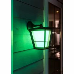Luminaires Philips Applique murale Philips Hue Ambiance White & Color Econic LED Noir, 1 lumière, Changeur de couleurs