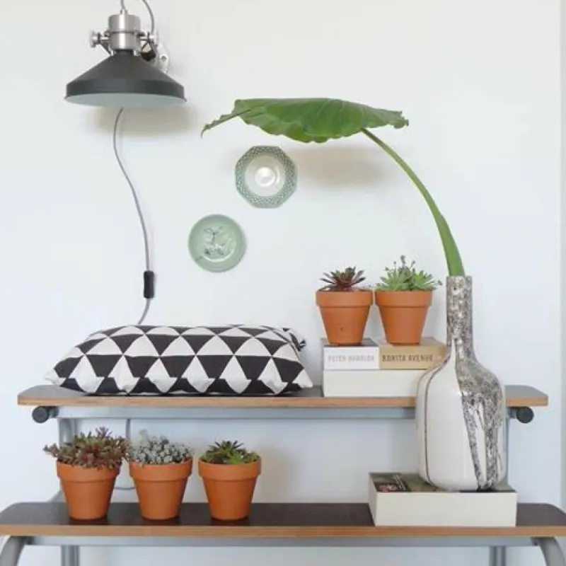 Lampes Industrielles-Luminaires Steinhauer Applique murale Steinhauer Zappa Noir, 1 lumière