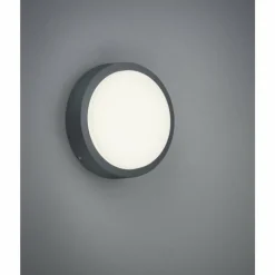 Luminaires Trio Applique murale Trio BREG LED Anthracite, 1 lumière