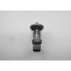 Luminaires Trio Applique murale Trio-Leuchten Cavado Anthracite, 1 lumière