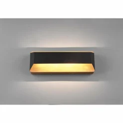 Luminaires Trio Applique murale Trio-Leuchten Arino LED Noir, 1 lumière* Éclairage Led