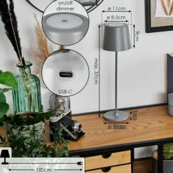 hofstein Belece Lampe de table d'extérieur, Lampe à poser LED Gris, 1 lumière