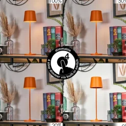 hofstein Belece Lampe de table d'extérieur, Lampe à poser LED Orange, 1 lumière