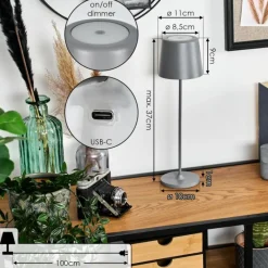 hofstein Belece Lampe de table d'extérieur, Lampe à poser LED Gris, 1 lumière