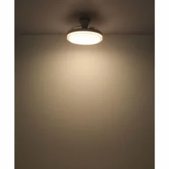 Luminaires Globo Lighting Beliz Ventilateur de plafond lumineux LED Blanc, 1 lumière, Télécommandes