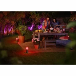 Luminaires Philips Borne d'éclairage, kit d'extension Philips Hue Ambiance White & Color Calla LED Noir, 1 lumière, Changeur de couleurs