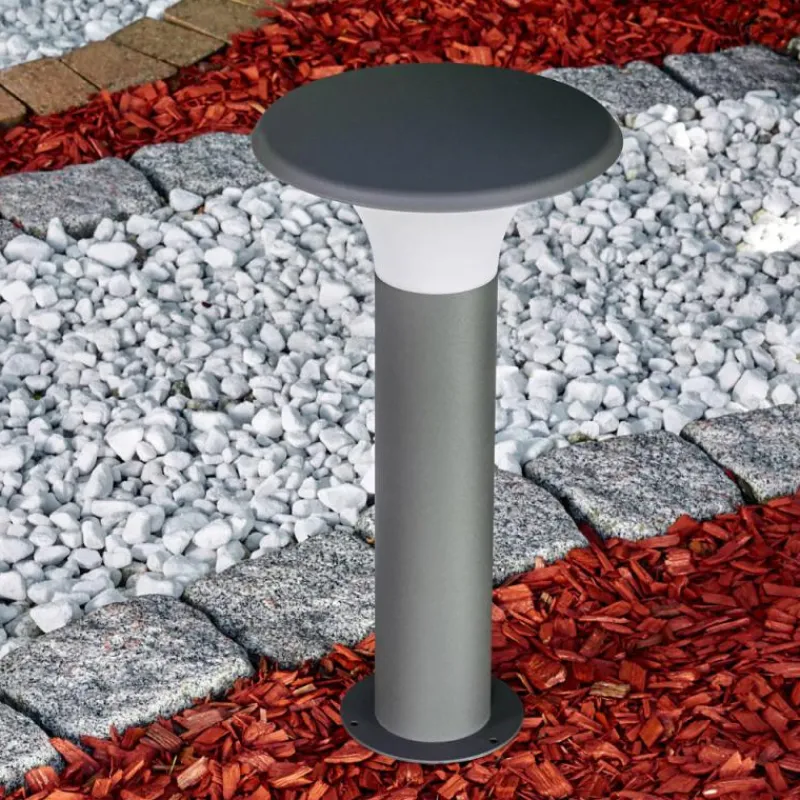 hofstein Borne lumineuse Chelmsford LED Anthracite, 1 lumière
