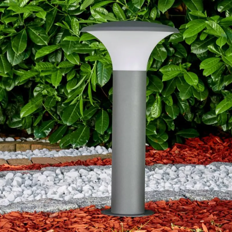 hofstein Borne lumineuse Chelmsford LED Anthracite, 1 lumière