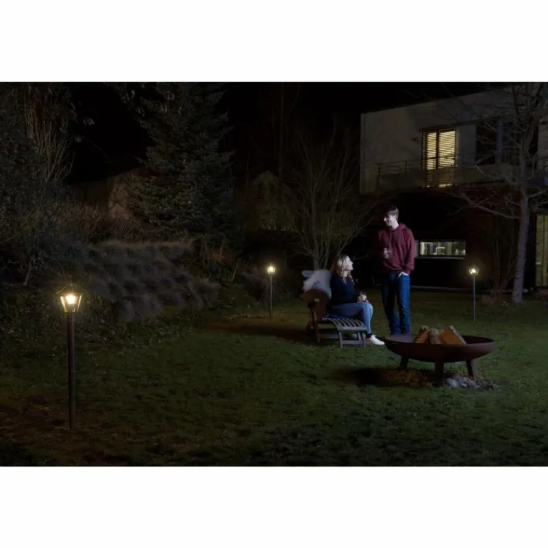 Lampes Dorées-Luminaires Ledvance Borne lumineuse LEDVANCE ENDURA® Or, Noir, 1 lumière