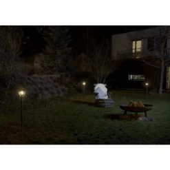 Lampes Dorées-Luminaires Ledvance Borne lumineuse LEDVANCE ENDURA® Or, Noir, 1 lumière