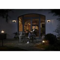 Lampes Dorées-Luminaires Ledvance Borne lumineuse LEDVANCE ENDURA® Or, Noir, 1 lumière