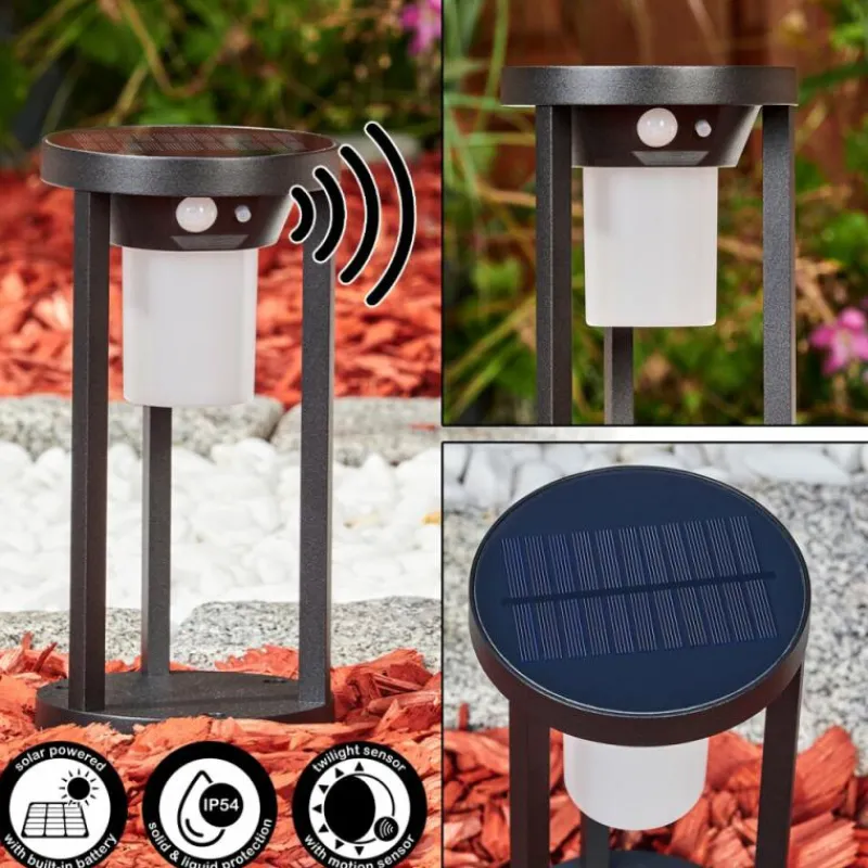 hofstein Borne lumineuse Lokpano LED Noir, 1 lumière, Détecteur de mouvement