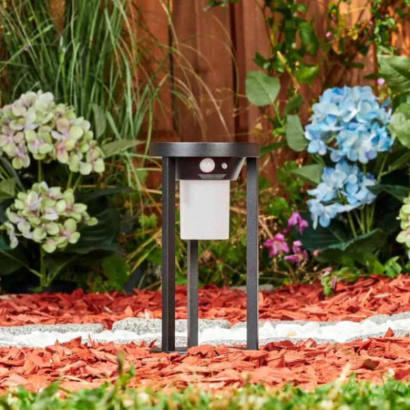 hofstein Borne lumineuse Lokpano LED Noir, 1 lumière, Détecteur de mouvement