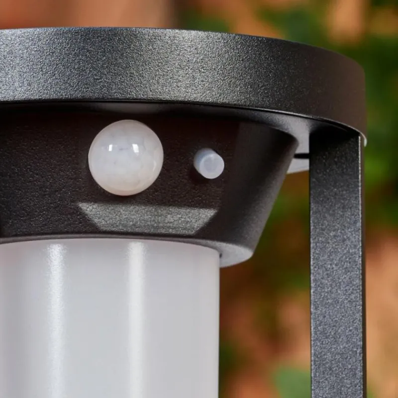 hofstein Borne lumineuse Lokpano LED Noir, 1 lumière, Détecteur de mouvement