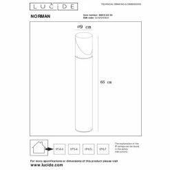 Luminaires Lucide Borne lumineuse Lucide NORMAN Noir, 1 lumière