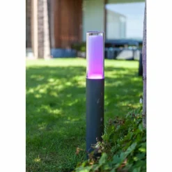 Luminaires Lutec Borne lumineuse Lutec DROPA LED Anthracite, 1 lumière, Changeur de couleurs