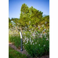 Luminaires Lutec Borne lumineuse Lutec Kira LED Anthracite, 1 lumière