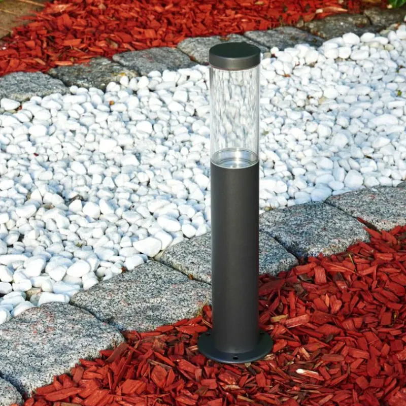 hofstein Borne lumineuse Noreaz LED Anthracite, 1 lumière