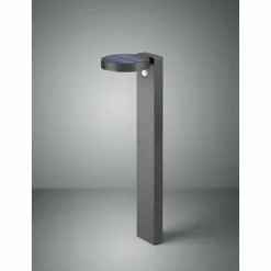 Luminaires Reality Borne lumineuse Reality Posadas LED Anthracite, 1 lumière, Détecteur de mouvement