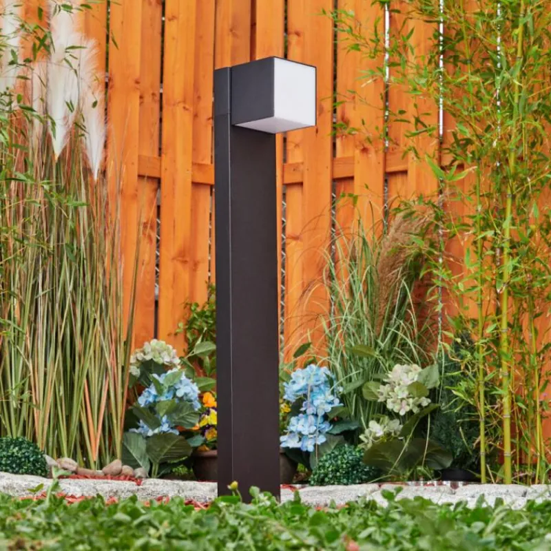 hofstein Borne lumineuse Swanek LED Noir, 1 lumière