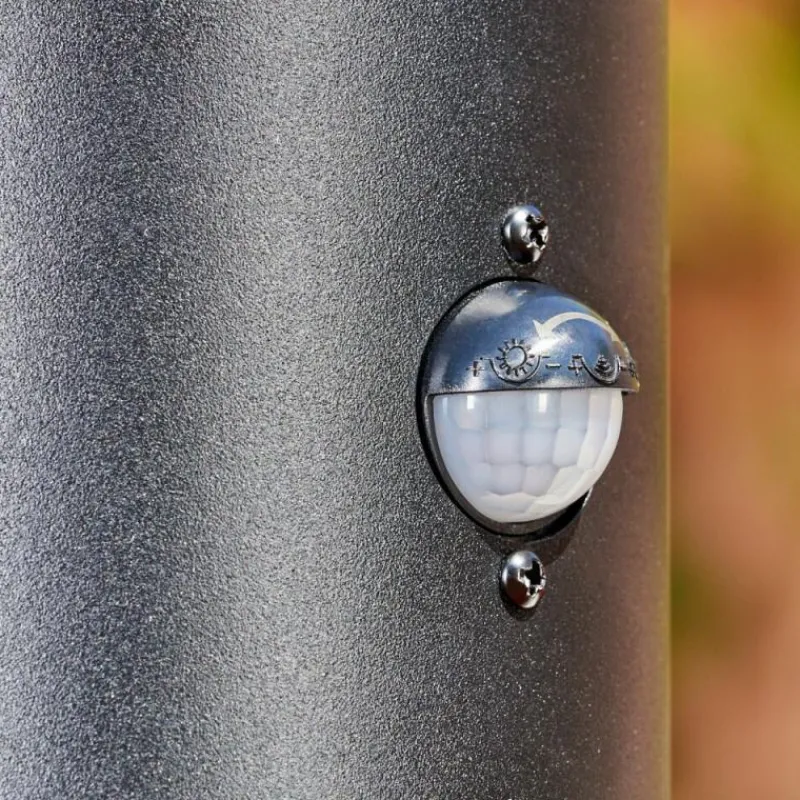 hofstein Borne lumineuse Tolsona Noir, 1 lumière, Détecteur de mouvement