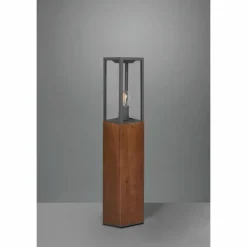 Lampes En Bois-Luminaires Trio Borne lumineuse Trio Garonne Bois foncé, Nickel mat, 1 lumière