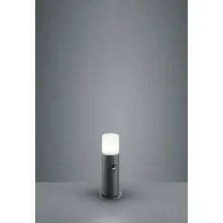 Luminaires Trio Borne lumineuse Trio HOOSIC Anthracite, 1 lumière, Détecteur de mouvement