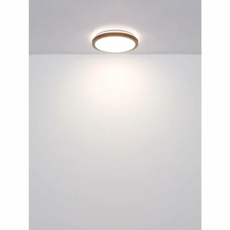 Lampes En Bois-Luminaires Globo Lighting Bruno Plafonnier LED Brun, Noir, 1 lumière