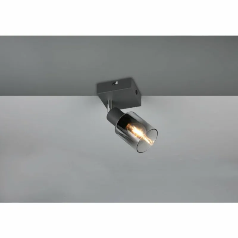 Luminaires Reality Cadiz Spot de plafond Anthracite, 1 lumière