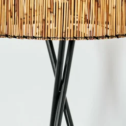 hofstein Cando Lampadaire, Liseuse Noir, 1 lumière