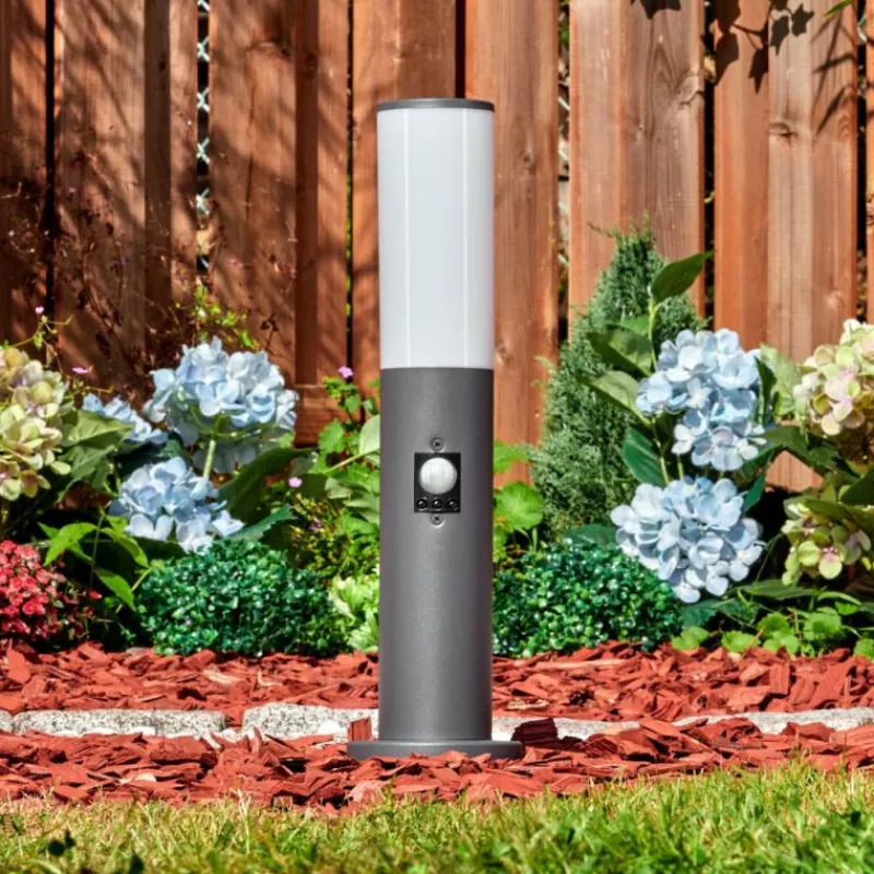 hofstein Caserta Borne lumineuse, Eclairage de chemin Anthracite, 1 lumière, Détecteur de mouvement