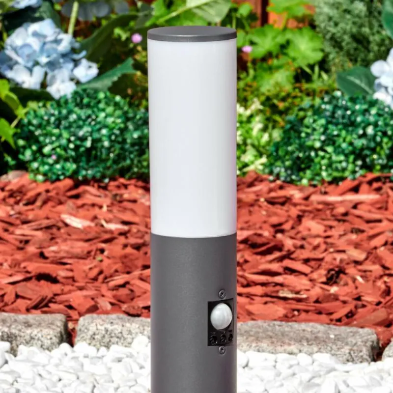 hofstein Caserta Borne lumineuse, Eclairage de chemin Anthracite, 1 lumière, Détecteur de mouvement