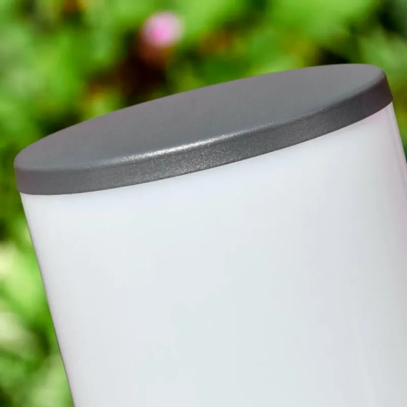 hofstein Caserta Eclairage de chemin Anthracite, 1 lumière, Détecteur de mouvement