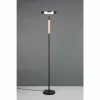 Suspension Verre Fumé-Luminaires Trio Celeste Lampadaire LED Noir, 1 lumière