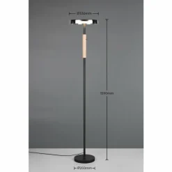 Suspension Verre Fumé-Luminaires Trio Celeste Lampadaire LED Noir, 1 lumière