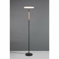 Luminaires Trio Celeste Lampadaire LED Brun, 1 lumière