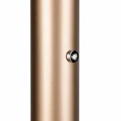 Luminaires Trio Celeste Lampadaire LED Brun, 1 lumière