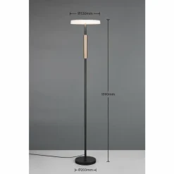 Luminaires Trio Celeste Lampadaire LED Brun, 1 lumière