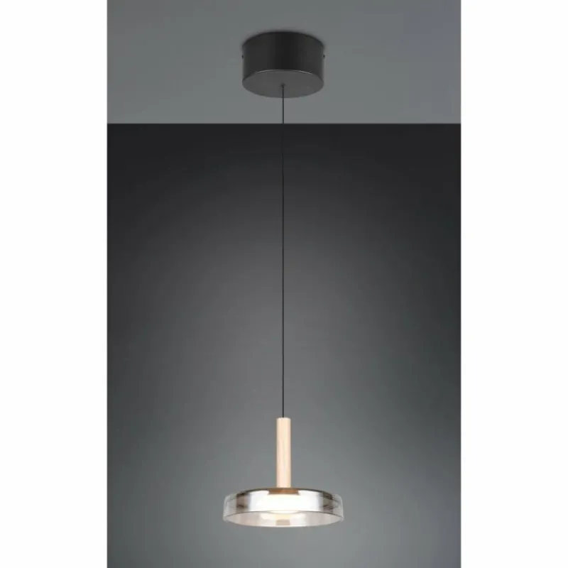 Suspension Verre Fumé-Luminaires Trio Celeste Suspension LED Noir, 1 lumière