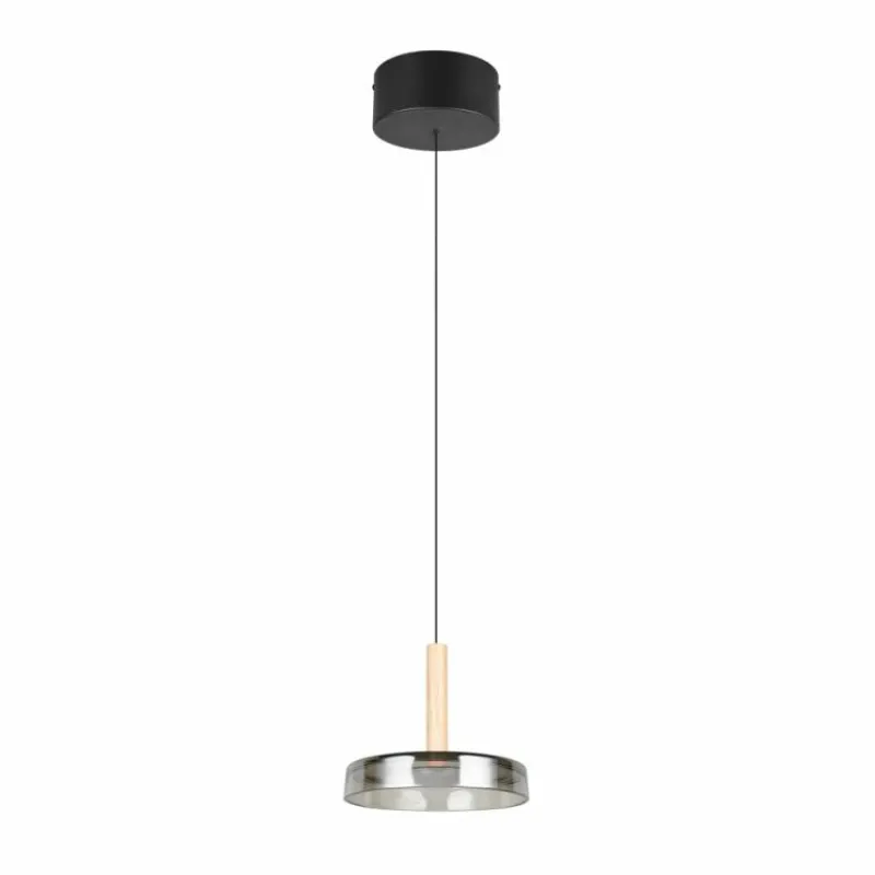 Suspension Verre Fumé-Luminaires Trio Celeste Suspension LED Noir, 1 lumière