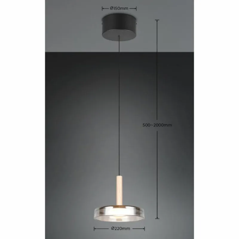 Suspension Verre Fumé-Luminaires Trio Celeste Suspension LED Noir, 1 lumière