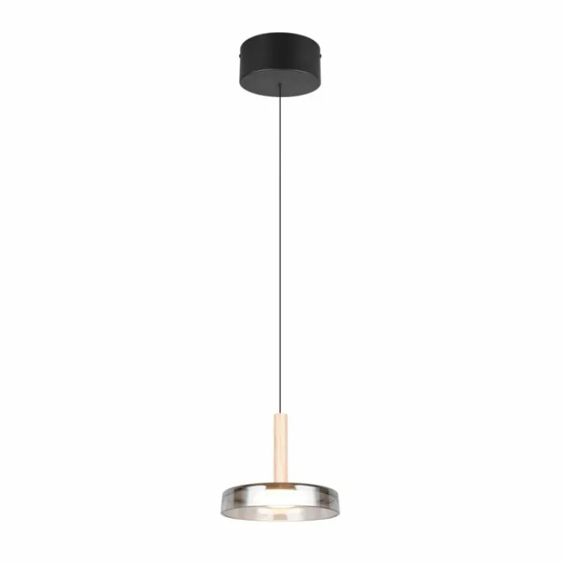 Suspension Verre Fumé-Luminaires Trio Celeste Suspension LED Noir, 1 lumière
