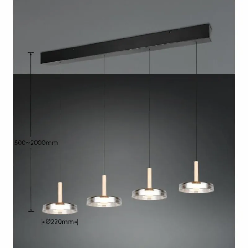 Suspension Verre Fumé-Luminaires Trio Celeste Suspension LED Noir, 1 lumière