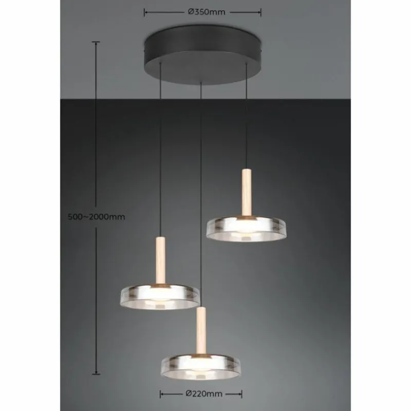 Suspension Verre Fumé-Luminaires Trio Celeste Suspension LED Noir, 1 lumière